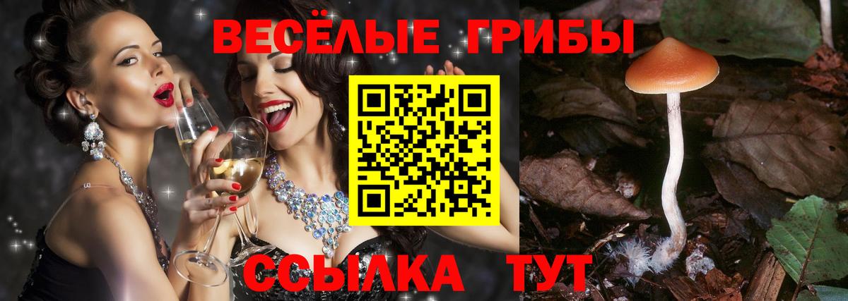 Брянск  Псилоцибиновые грибы MAGIC MUSHROOMS  Вход с VPN 